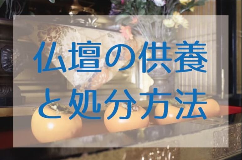アセット 11