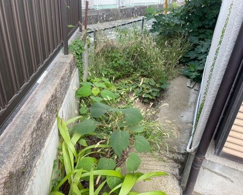 【庭の除草・防草作業事例】藤沢市で雑草対策！防草シートの設置・除草剤の散布も対応
