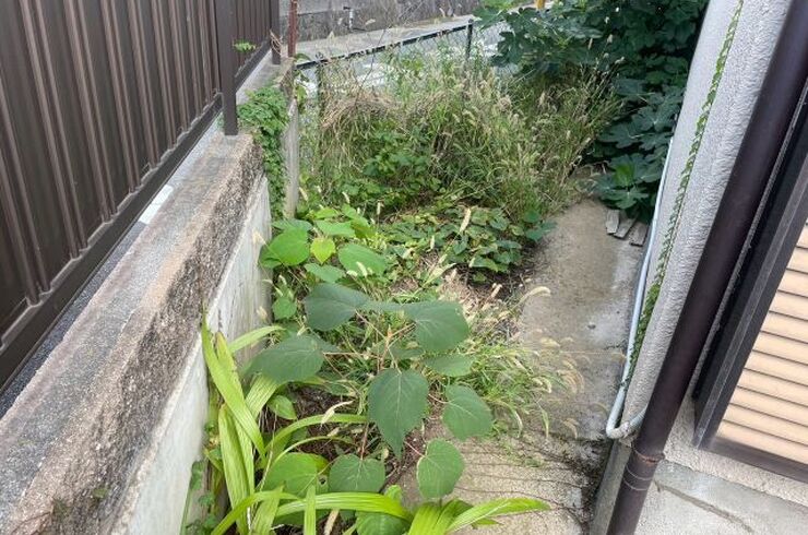 【庭の除草・防草作業事例】藤沢市で雑草対策！防草シートの設置・除草剤の散布も対応