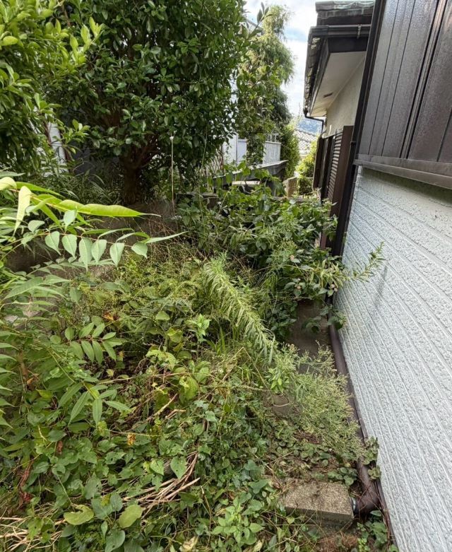 お庭周りのお手入れ・不用品回収の作業